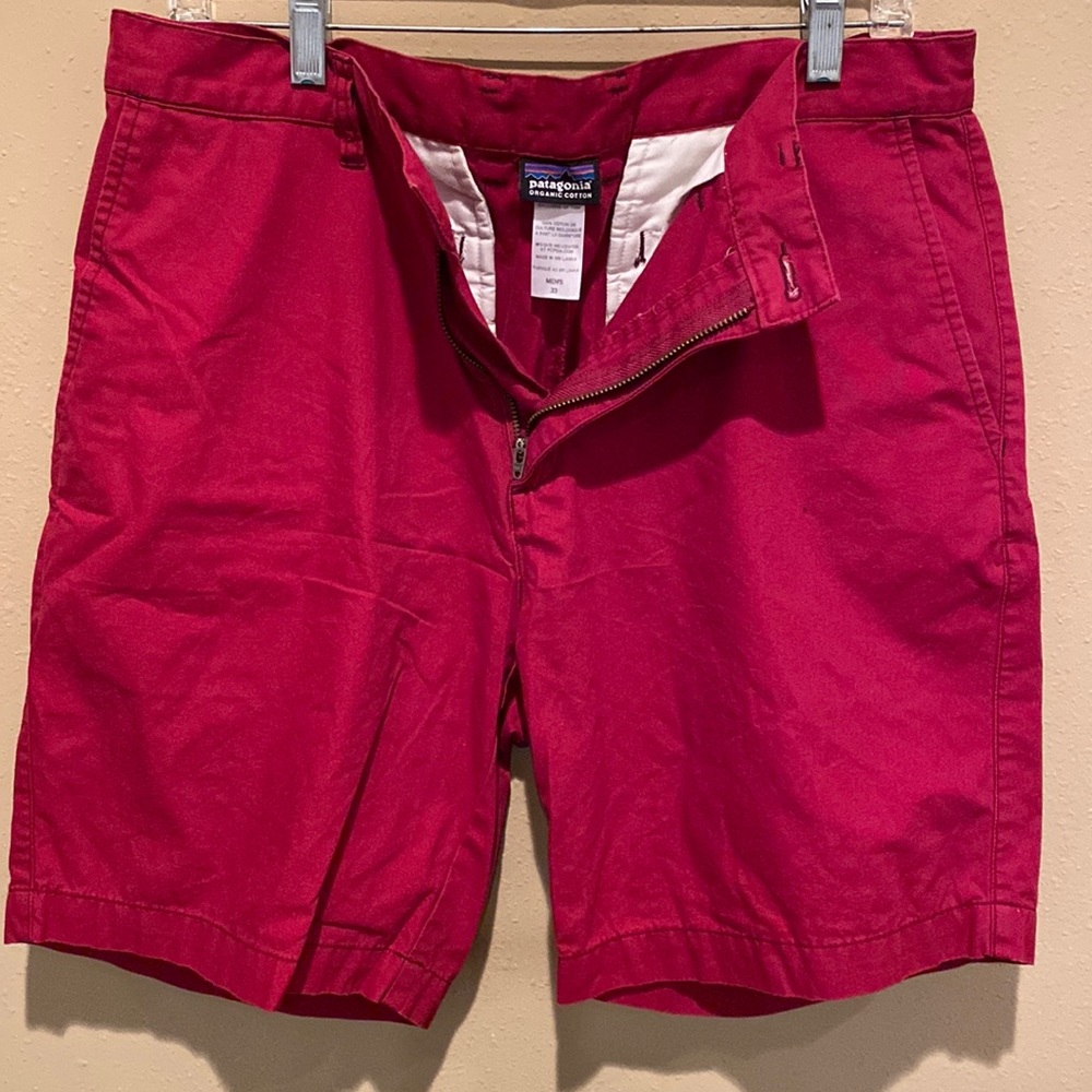 Patagonia shorts size 33